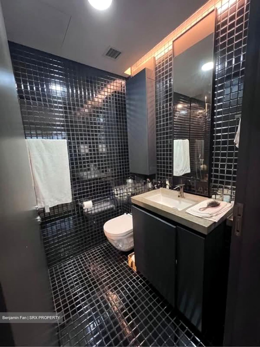 Skysuites@Anson (D2), Apartment #551330961